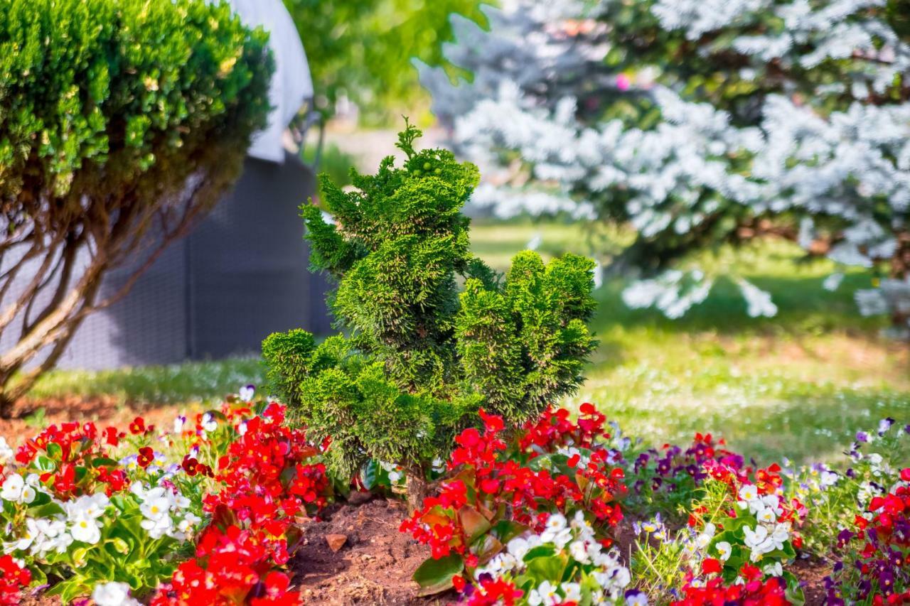 Garden paradise App Sveti Vid-Miholjice Buitenkant foto