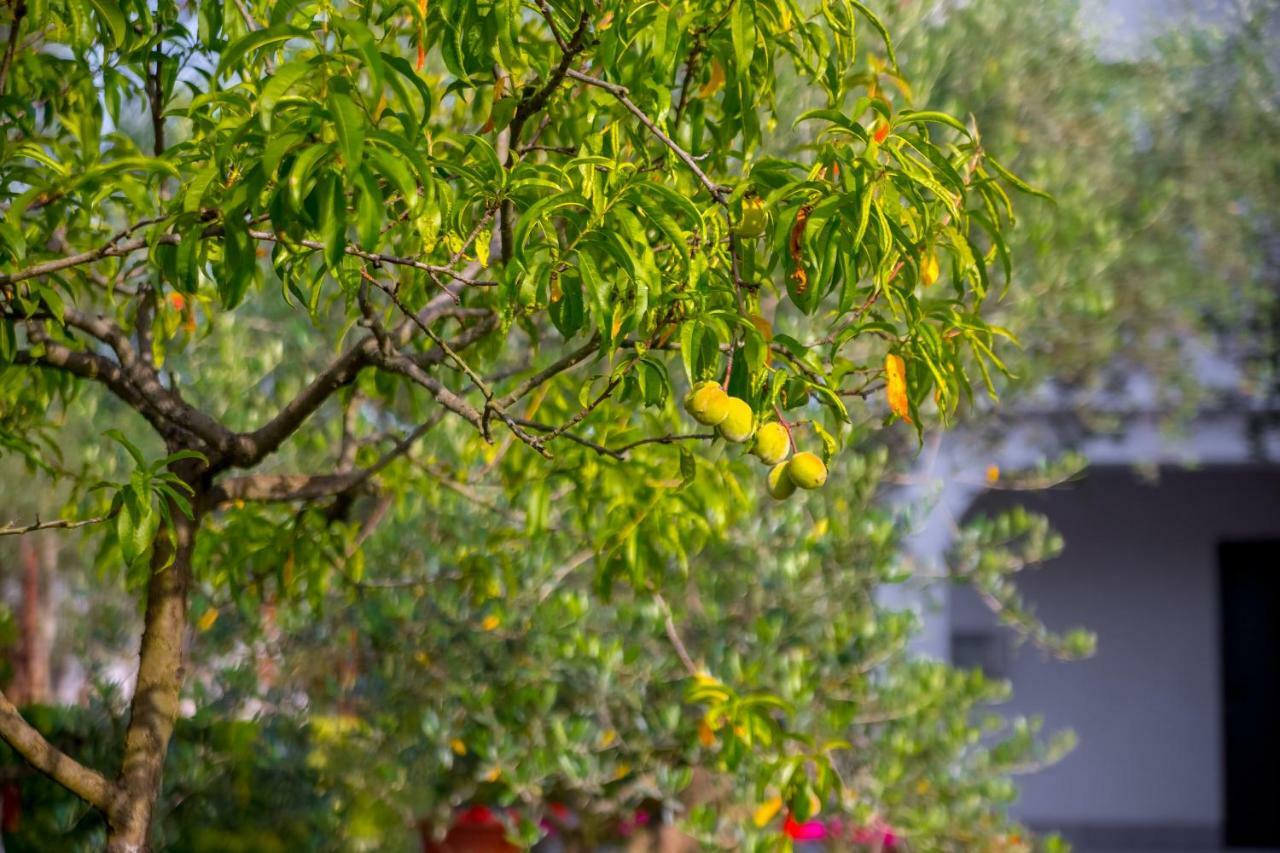 Garden paradise App Sveti Vid-Miholjice Buitenkant foto